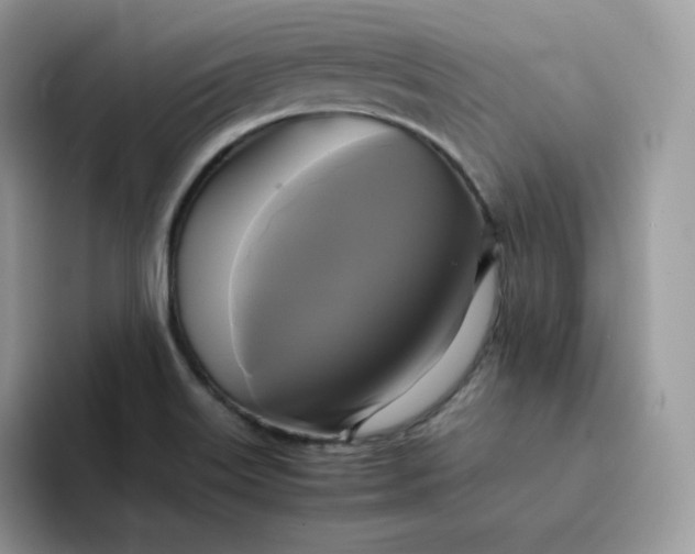 X0000094221515200711091246