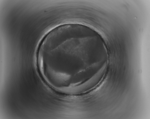 X0000094221517200711091246