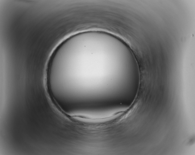 X0000094221518200711091246