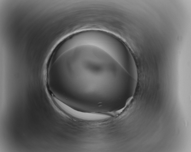 X0000094221519200711091246