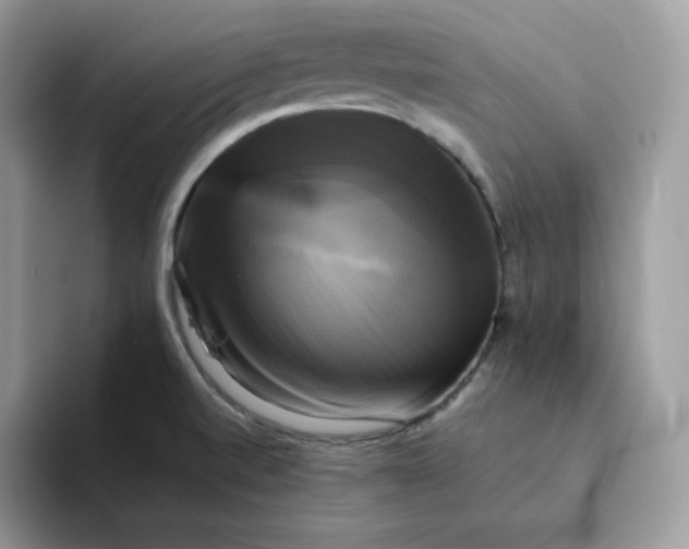 X0000094221520200711091246