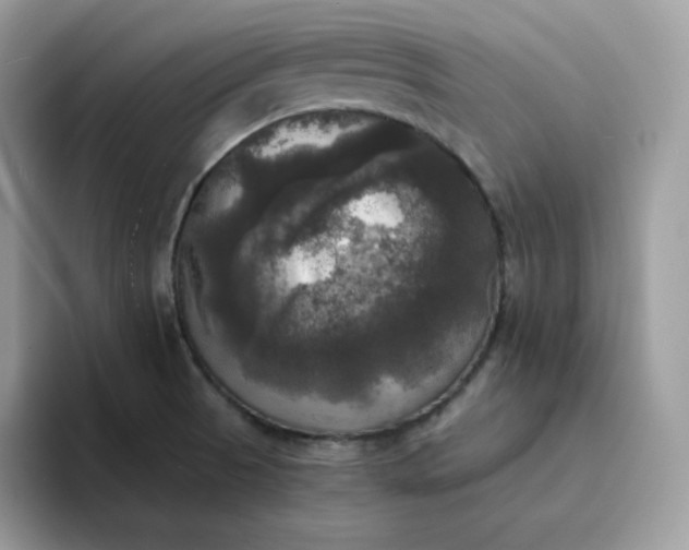 X0000094221521200711091246