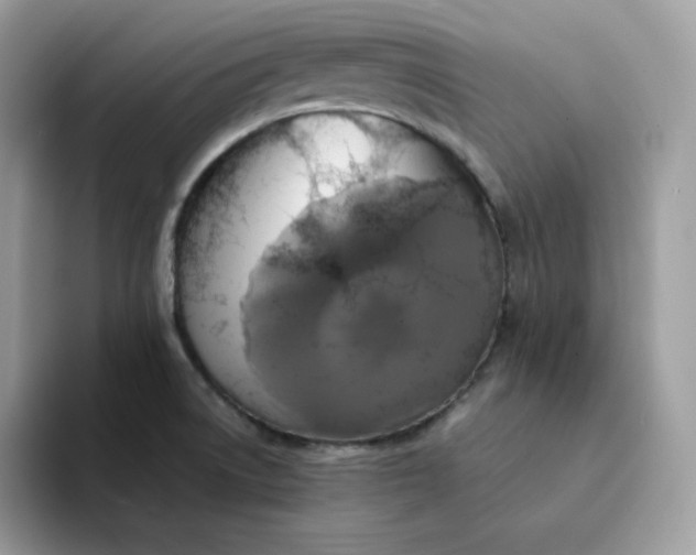 X0000094221522200711091246