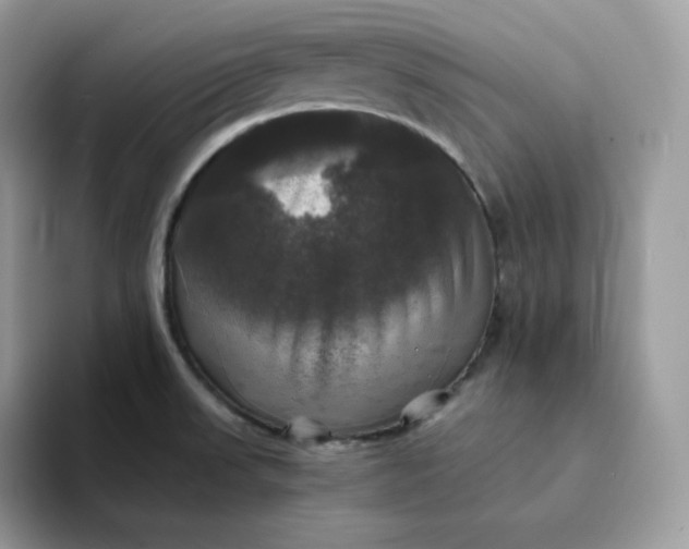 X0000094221523200711091246