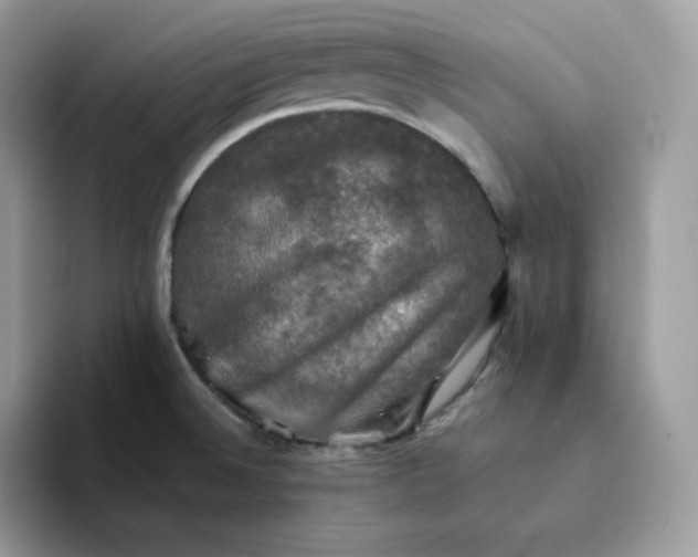 X0000094221524200711091246