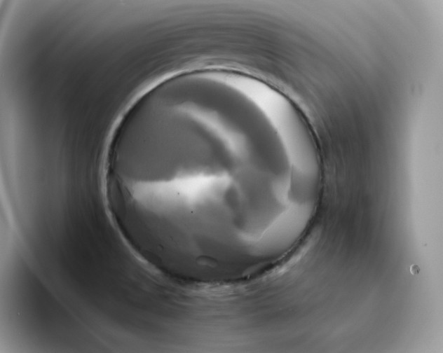 X0000094221525200711091246