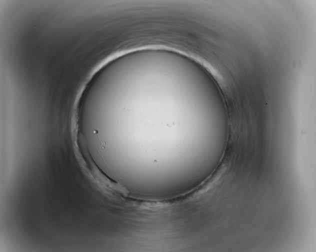 X0000094221526200711091246