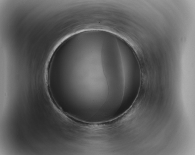 X0000094221527200711091247