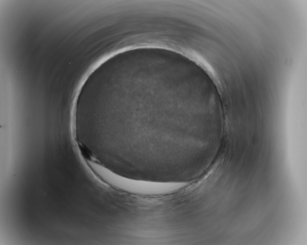 X0000094221528200711091247