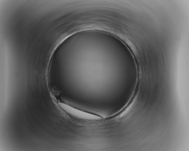 X0000094221529200711091247