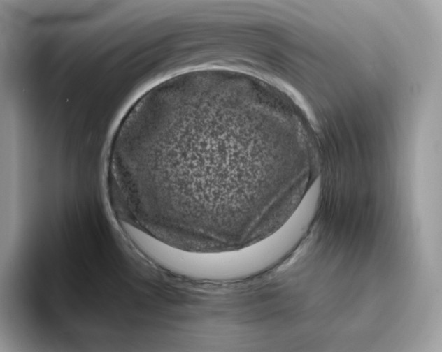 X0000094221530200711091247