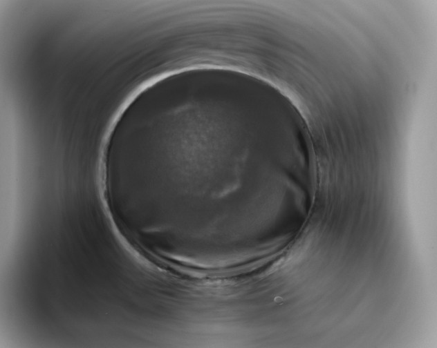 X0000094221531200711091247