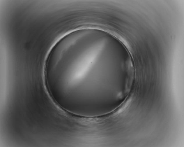 X0000094221533200711091247