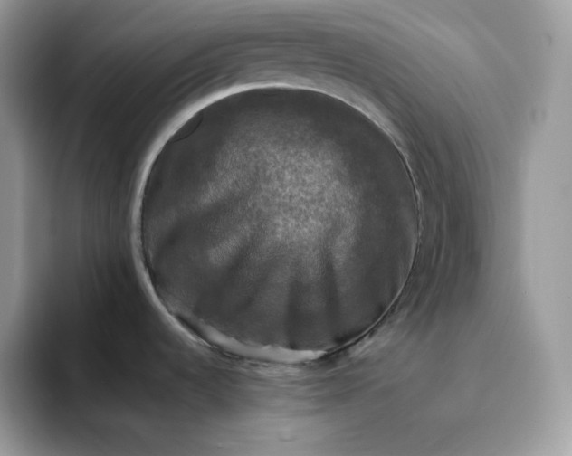 X0000094221536200711091247