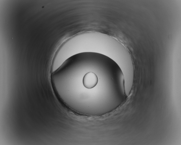 X0000094220003200711161858