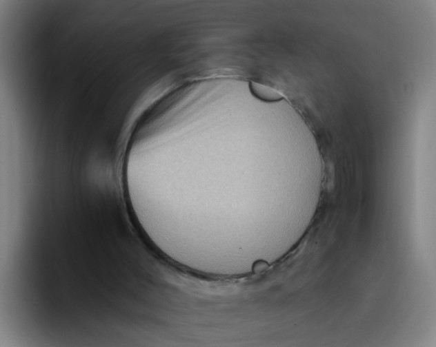 X0000094220004200711161858