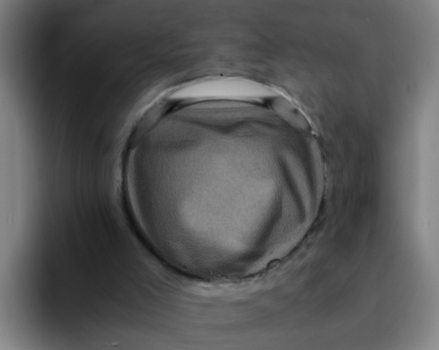 X0000094220005200711161858