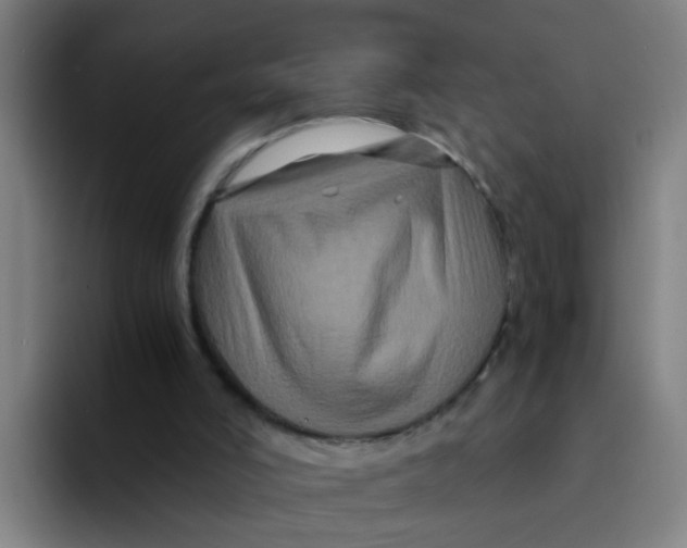 X0000094220006200711161858