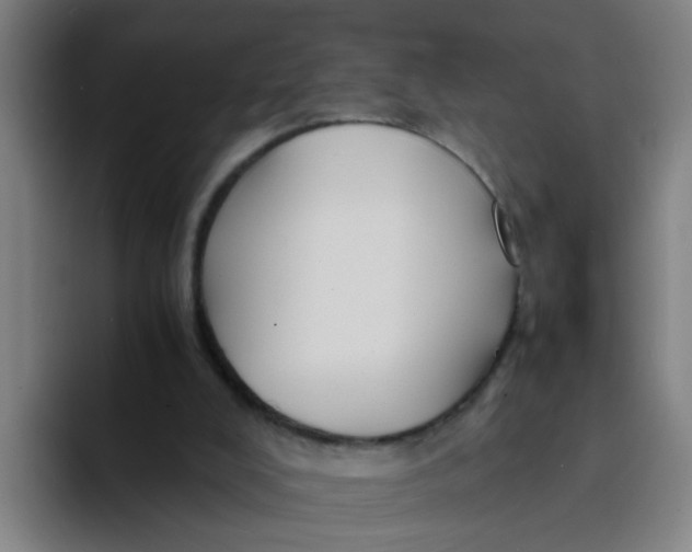 X0000094220008200711161858