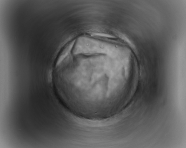 X0000094220010200711161858