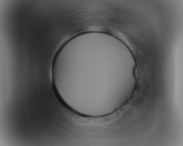 X0000094220011200711161858