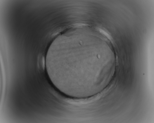 X0000094220013200711161858