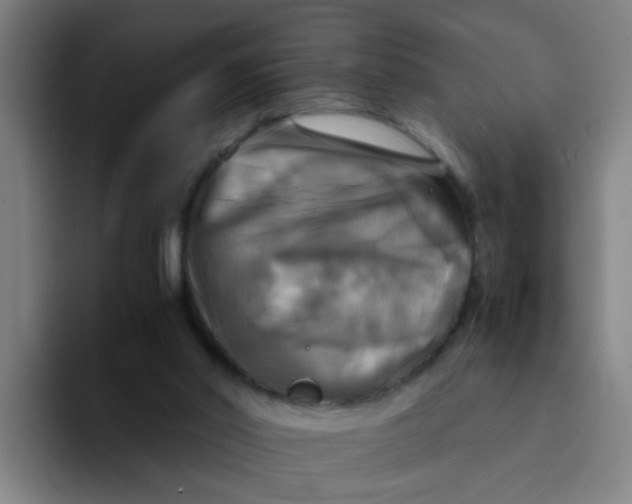 X0000094220014200711161858