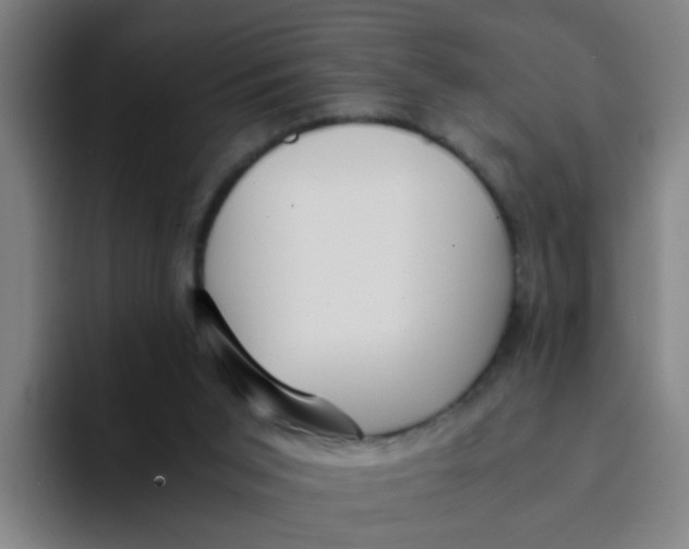 X0000094220015200711161858