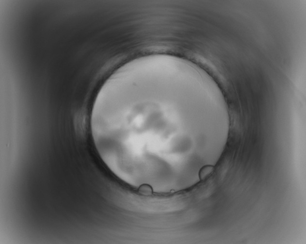 X0000094220016200711161858