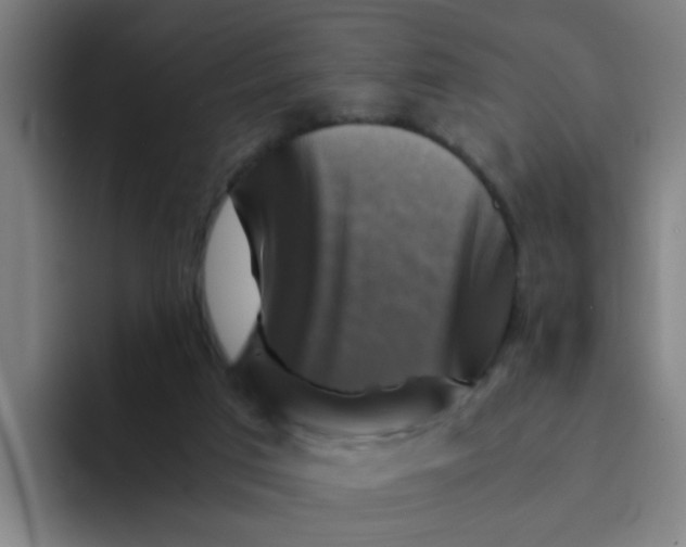 X0000094220017200711161858