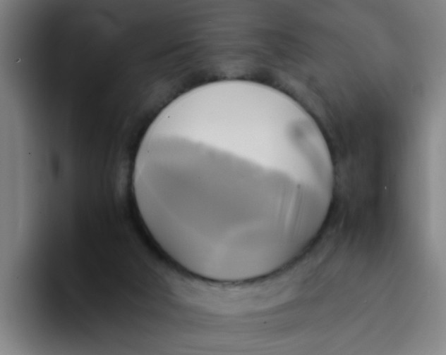 X0000094220018200711161858