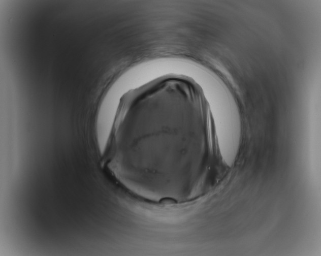 X0000094220019200711161858