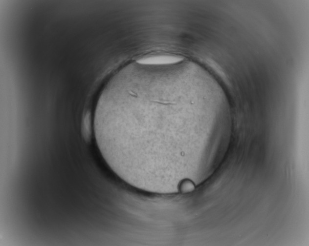 X0000094220020200711161858