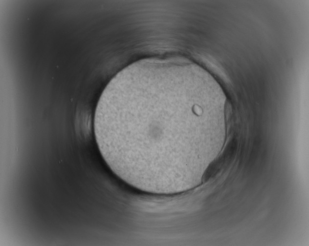 X0000094220021200711161858