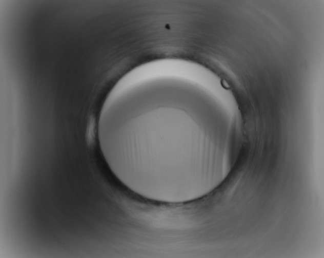 X0000094220024200711161858