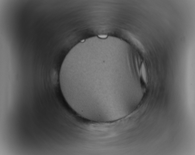 X0000094220025200711161858