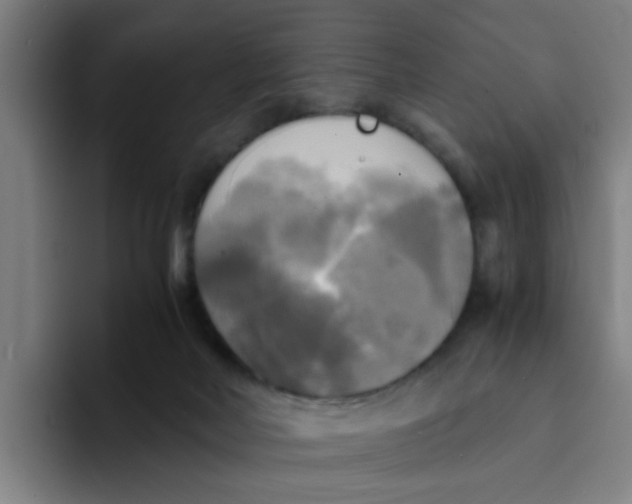 X0000094220026200711161858