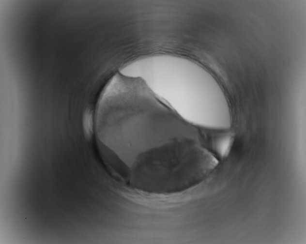 X0000094220027200711161858