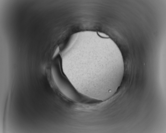 X0000094220033200711161858