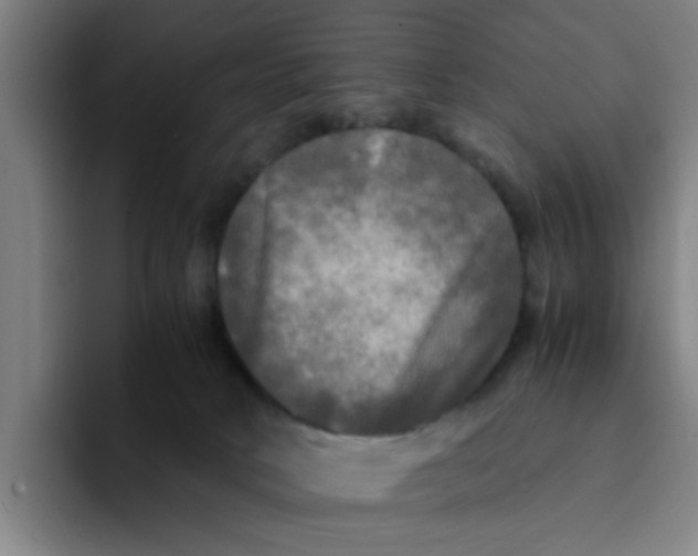 X0000094220034200711161858