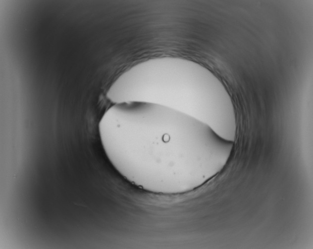 X0000094220037200711161858