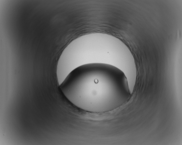 X0000094220041200711161858