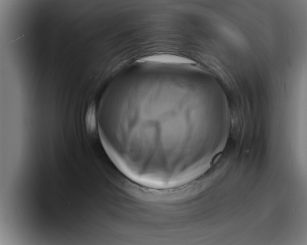 X0000094220046200711161858