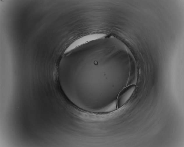 X0000094220048200711161858