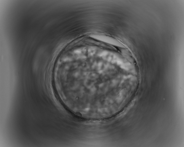 X0000094220049200711161857