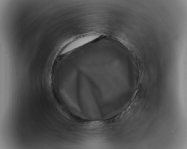 X0000094220050200711161857