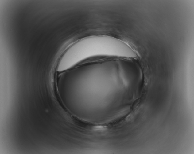 X0000094220053200711161857