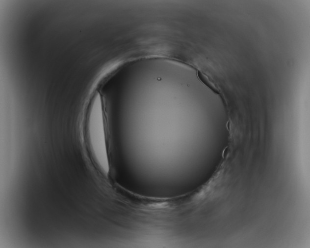 X0000094220054200711161857