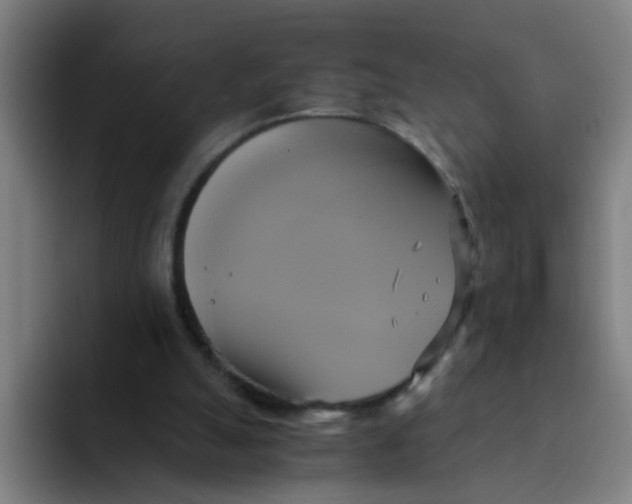 X0000094220055200711161857