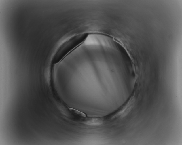 X0000094220056200711161857